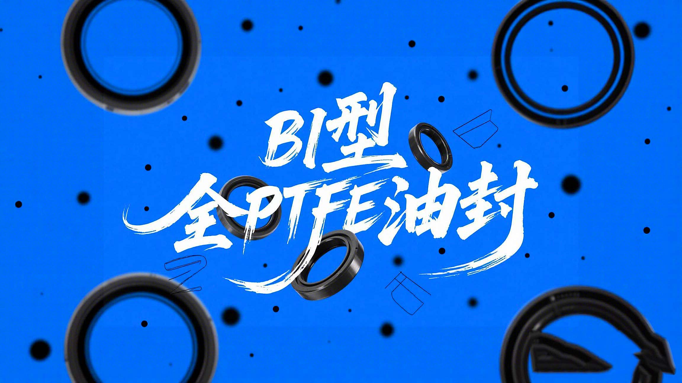 广州2828彩票厂家腐蚀性介质B1型全PTFE油封的材料到底好在哪